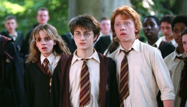 Harry Potter TV series