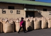 Japan, rice imports