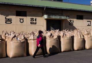 Japan, rice imports