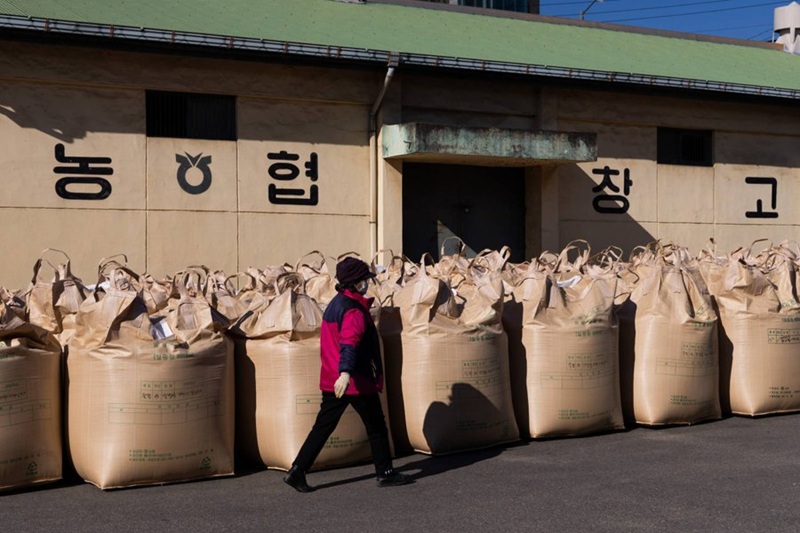 Japan, rice imports