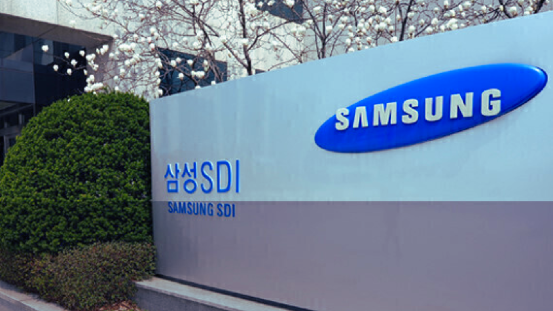 Samsung SDI Lowers Share Sale Price as Global Markets Fall